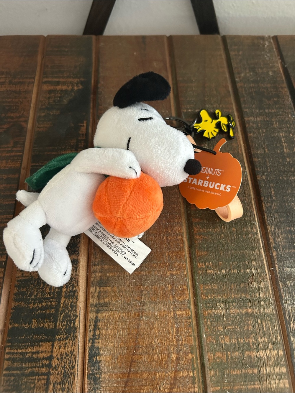 Starbucks Peanuts Snoopy And Woodstock Bag Charm Pumpkin NEW